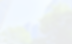 無題-38_edited_edited.png
