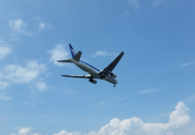 20150816_112902.jpg