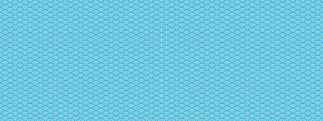 青海波_edited.png