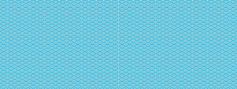 青海波_edited.png