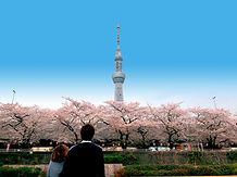 DSC_6357_edited.jpg