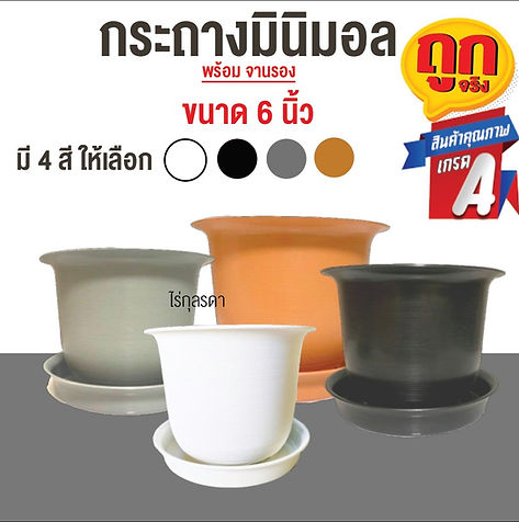 กระถางทรงญาญ่า 6.jpg