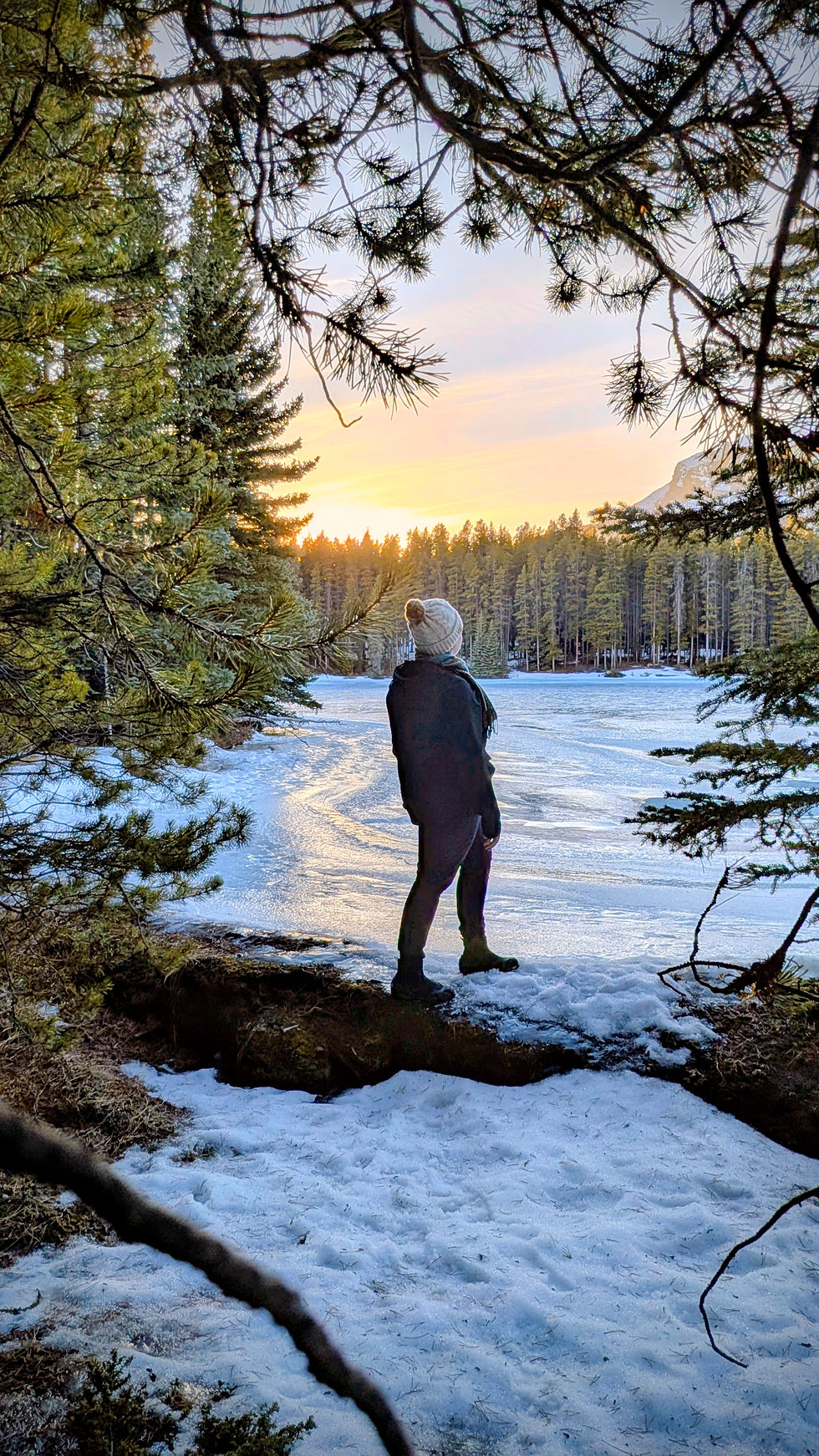 AI Didn't Replace My Voice — It Helped Me Find It