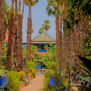 Living in Morocco: What 45 Days Taught Me About Simplicity, Community, and Presence