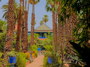 Living in Morocco: What 45 Days Taught Me About Simplicity, Community, and Presence