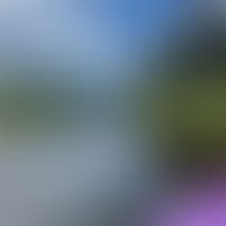 The Small Moments That Shape the Land we Love