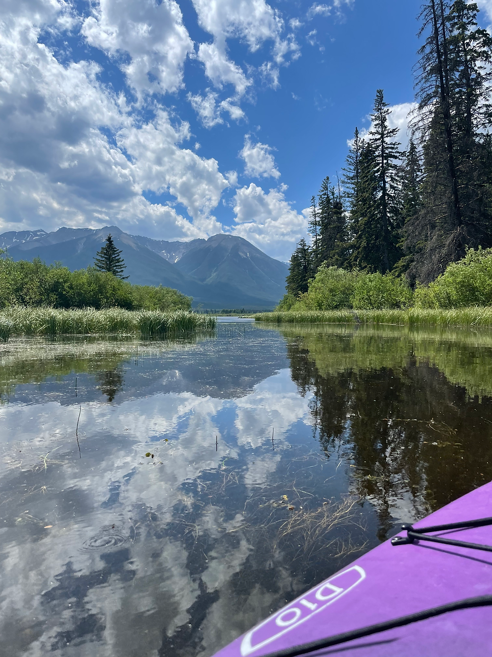 The Small Moments That Shape the Land we Love