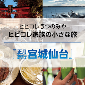 ヒビコレ家族の小さな旅『正月旅行 宮城仙台』