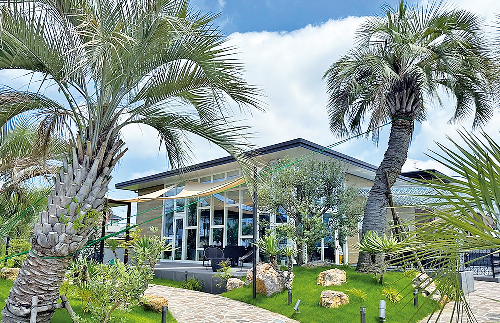 ガーデニングメイトザッカガーデンメガハウス 2025年最新】メガハウス