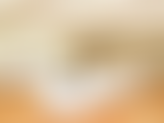 高齢者のスポーツと文化の祭典 ねんりんピックとちぎ2026開催！／とちぎ健康福祉協会