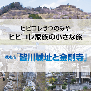 ヒビコレ家族の小さな旅　栃木市『皆川城址と金剛寺』2026年4月号