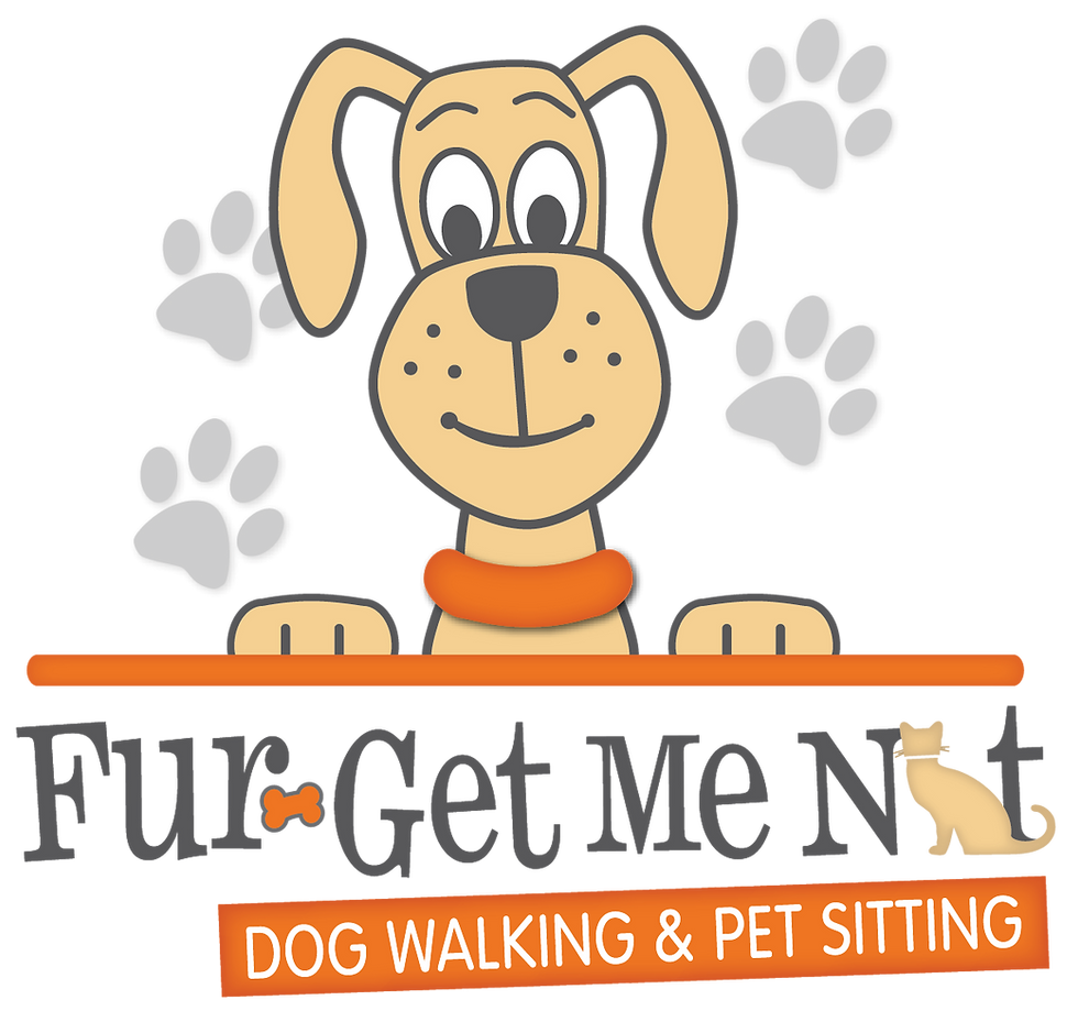Dog training center in Arlington, VA.