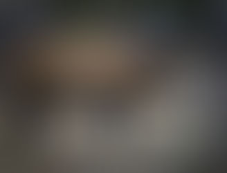 Co zrobić z dzikami w mieście? Powstanie specjalny zespół ekspertów