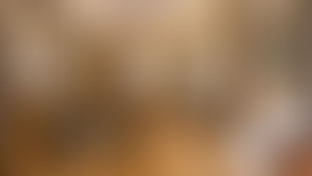 Muzeum Pałacu Króla Jana III w Wilanowie otwarty od 4 lutego