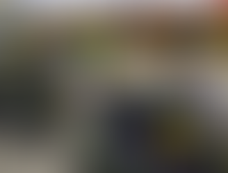 Wiosenne kwiaty na pętlach autobusowych i tramwajowych