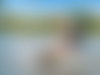 Lato, które dzieci zapamiętają. Półkolonie Creative Story wracają do Wilanowa