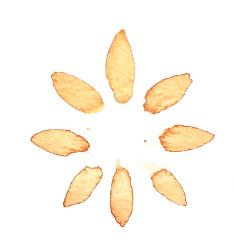 Third Story Watercolor Design Elements 2.png