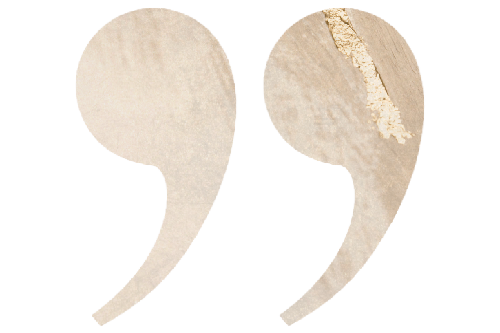 Sarah Quote (1).png