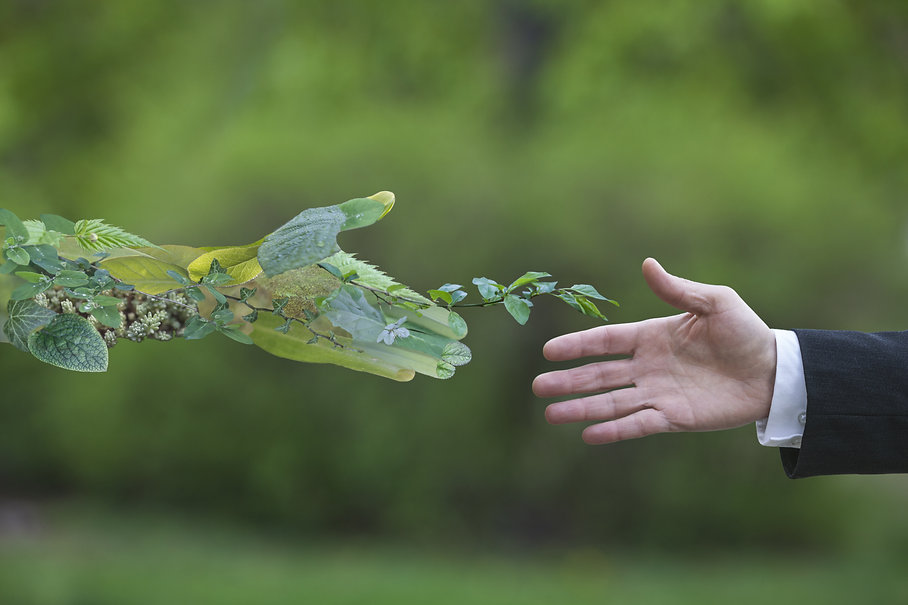 Businessman with nature.jpg