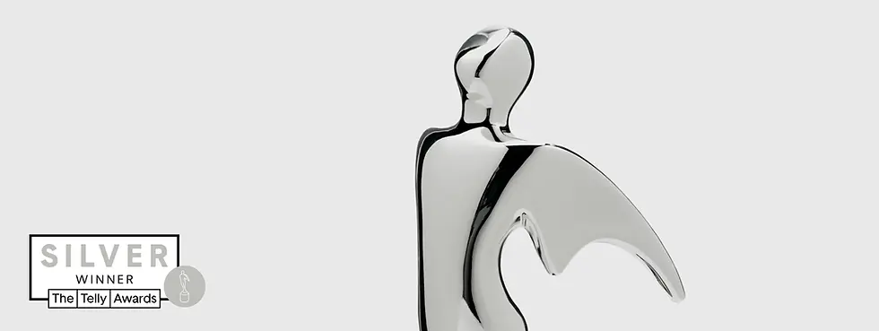 Telly_Silver_Page_v2.webp