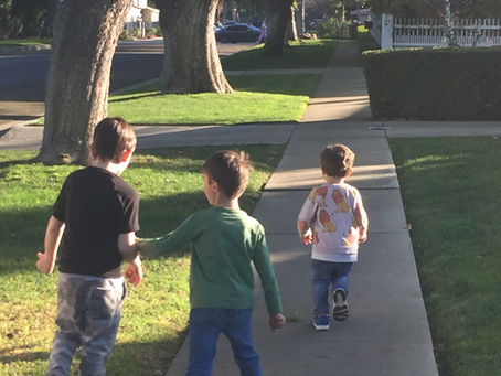 The Magic of the Mystery Walk: How I got my children to take walks in the neighborhood