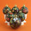 Thumbnail: Fruit Sauvage - hanging bauble