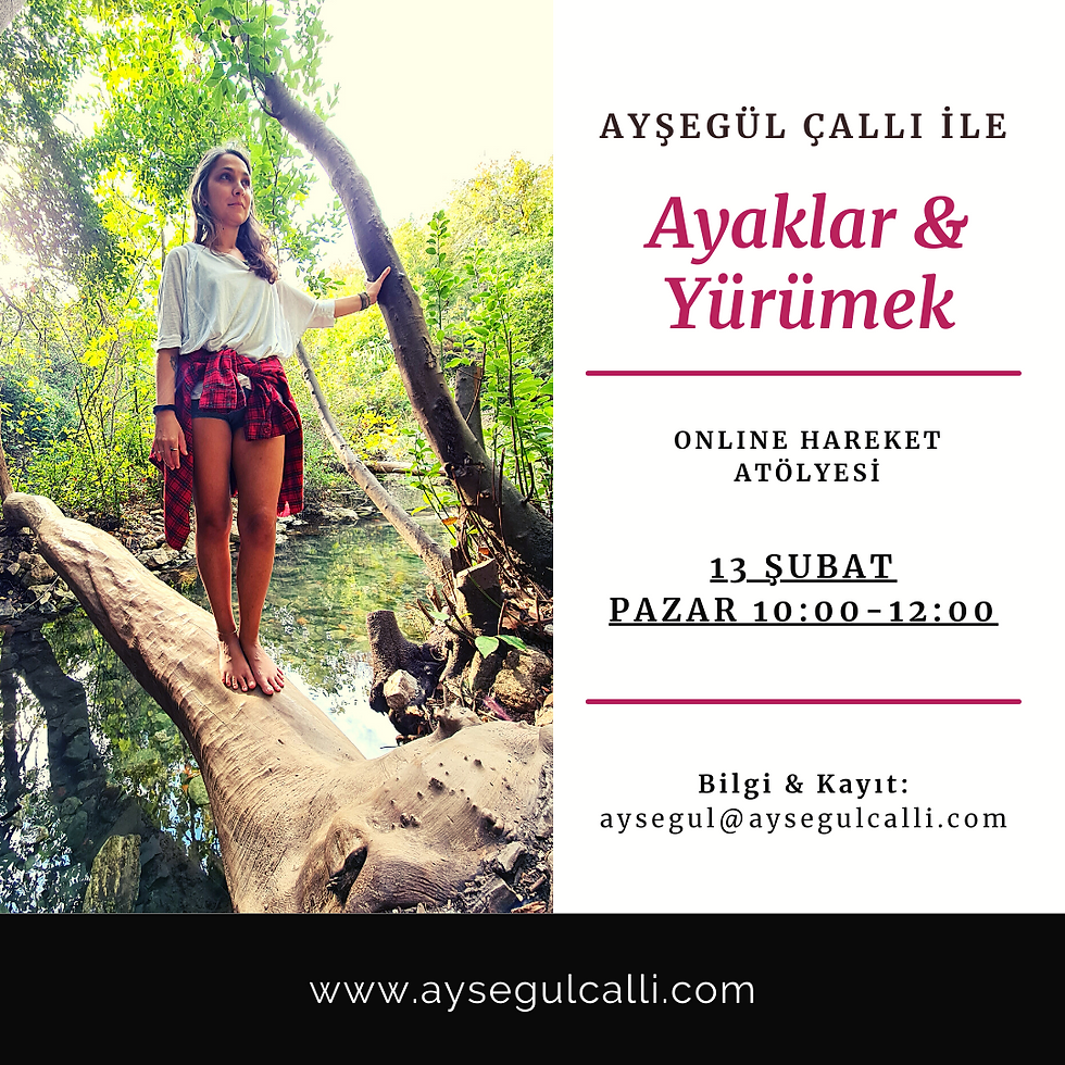 Ayaklar & Yürümek / Online Hareket Atölyesi