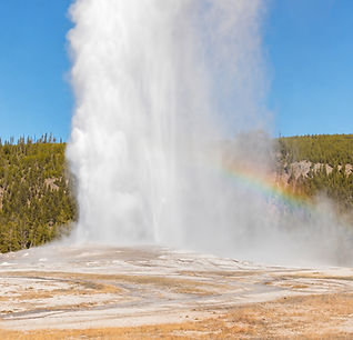Old Faithful Geyser erupting with a rainbow in Yellowstone.
