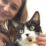 garde chat Châteaugiron
