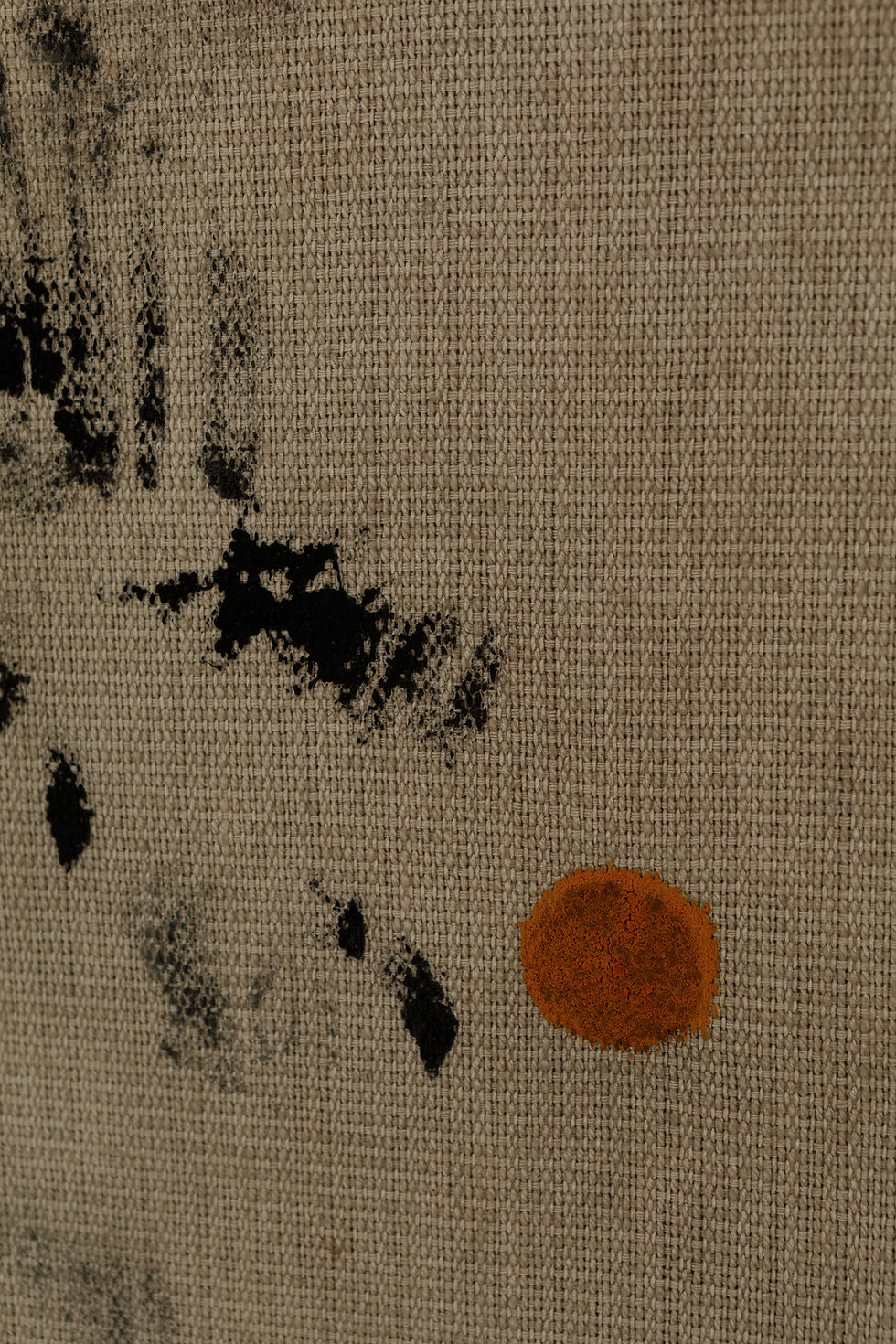 Thumbnail: Sediment I