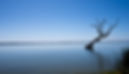 _YDX5524_edited.jpg