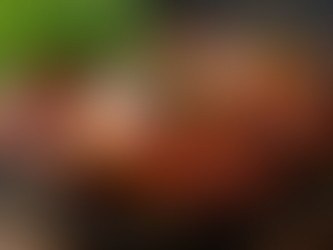 Master the Art of Peri Peri Chicken at Home