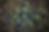 Untitled.png