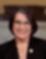 Sen. Nickie J. Antonio (SD-23)
