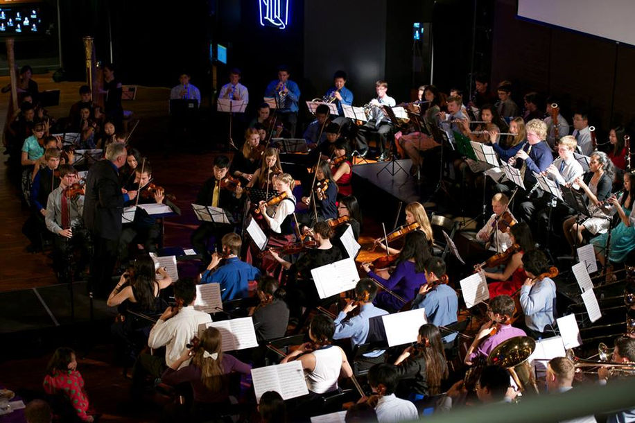 Maria Overman - Seattle Youth Symphony  Fundraiser