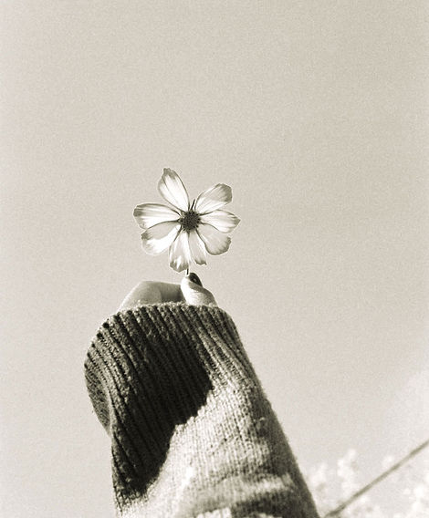 Geffert's Wort