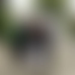 Emmie von Finckenstein ist deutsche Vizemeisterin AK 16