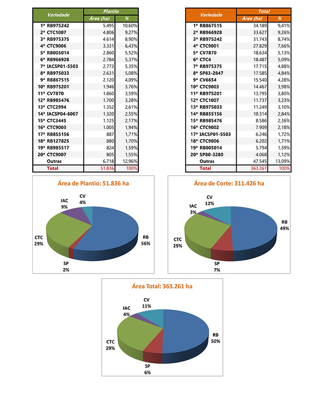 Censo Varietal 24 - Región de Jaú-1_edit