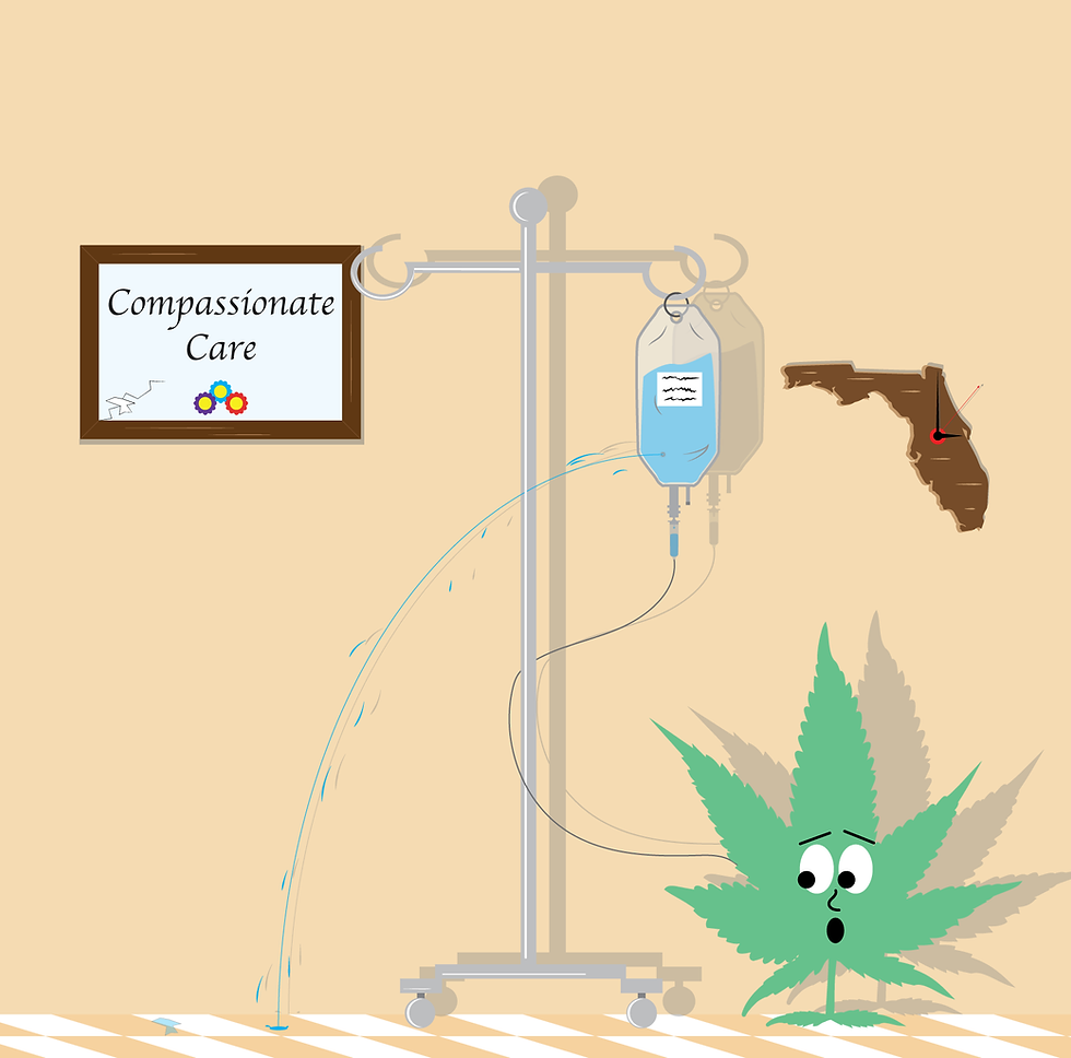 Palm Coast marijuana doctors and cards