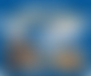 Roborock Replacement Parts Wholesale Guide for Repair Shops