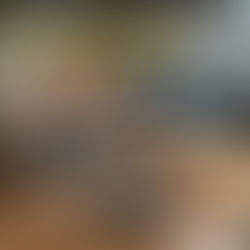 Replace the Original Roller Brush with a TriCut Brush