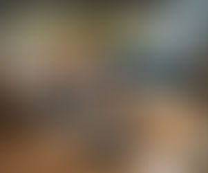 Replace the Original Roller Brush with a TriCut Brush