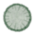 ChatGPT_Image_2._Juni_2025__16_24_30-removebg-preview.png