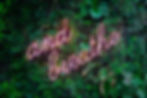 A neon sign reading "and breathe" over a foliage background. This image represents the function of deep breathing and mindfulness in managing stress and reducing panic.