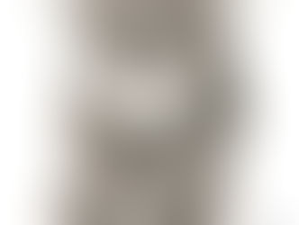 Koala Australia Pencil Art Postcard