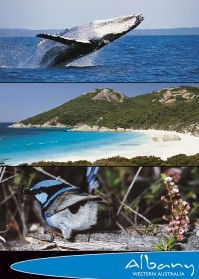Albany Western Australia (3 scene) Postcard PC252