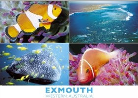 Exmouth Western Australia PC203