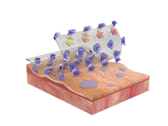 Beetle hairs inspire glue-free skin monitoring patch