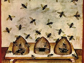 Magicae Apes, as abelhas mágicas.