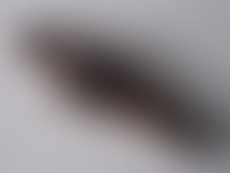 Corp Criadhach - Corpo de Barro na magia popular escocesa.